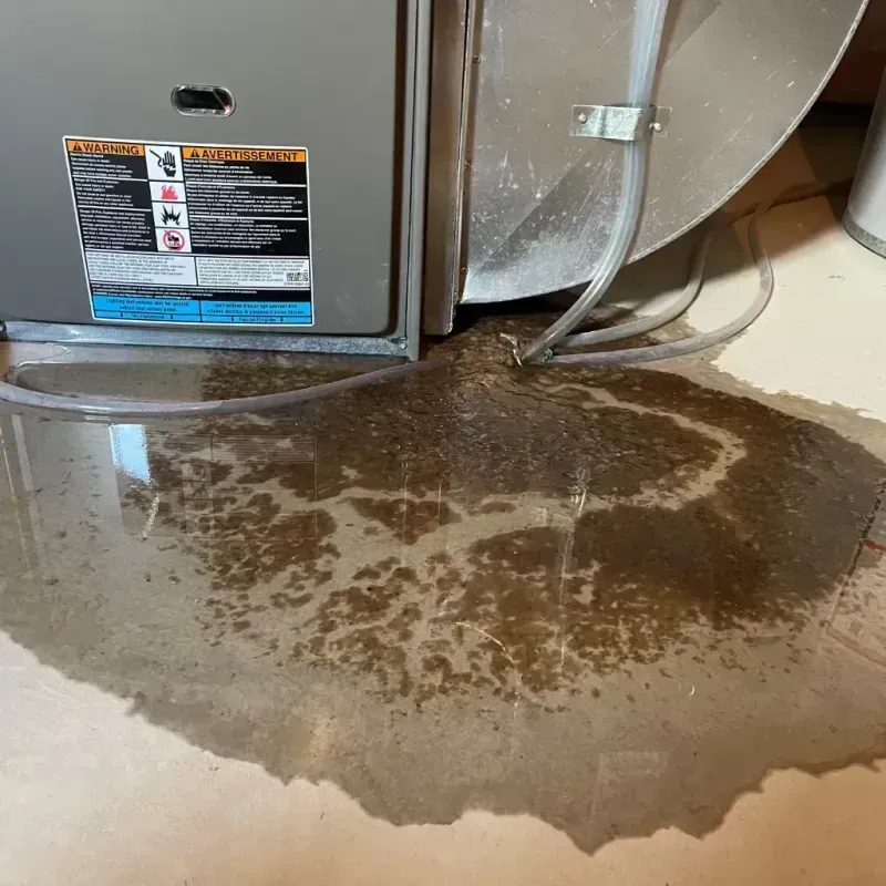 Appliance Leak Cleanup in Colusa County, CA